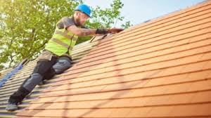 Best Roof Maintenance and Cleaning  in Lake Odessa, MI