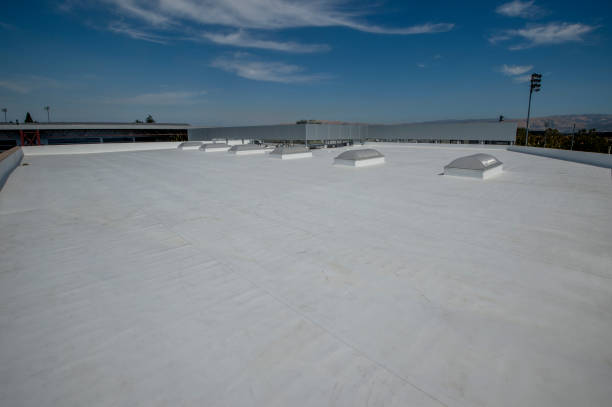 Best Emergency Roof Repair Services  in Lake Odessa, MI