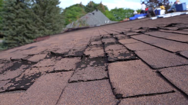Best Hot Roofs  in Lake Odessa, MI