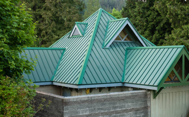 Best Sheet Metal Roofing  in Lake Odessa, MI