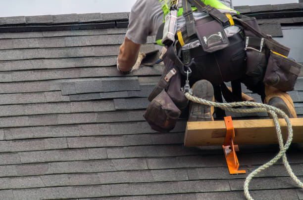 Best Chimney Flashing Repair  in Lake Odessa, MI