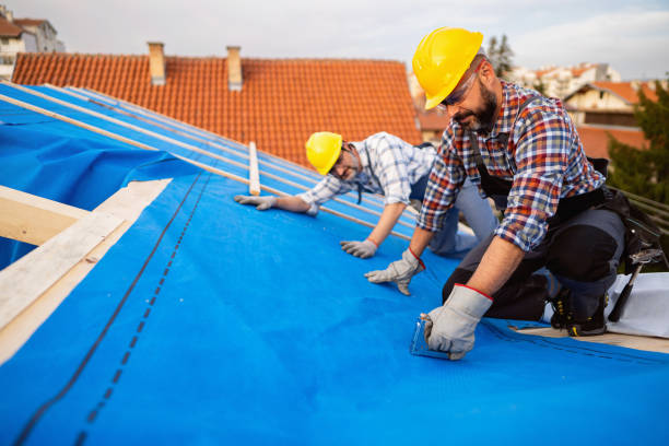 4 Ply Roofing in Lake Odessa, MI