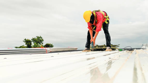 Best Rubber Roofing (EPDM, TPO)  in Lake Odessa, MI