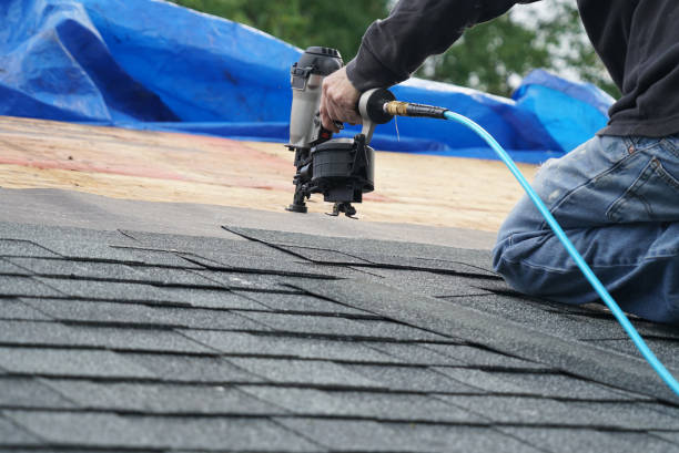 Best Gutter Installation and Repair  in Lake Odessa, MI