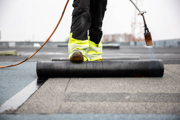 Best Roof Moss and Algae Removal  in Lake Odessa, MI