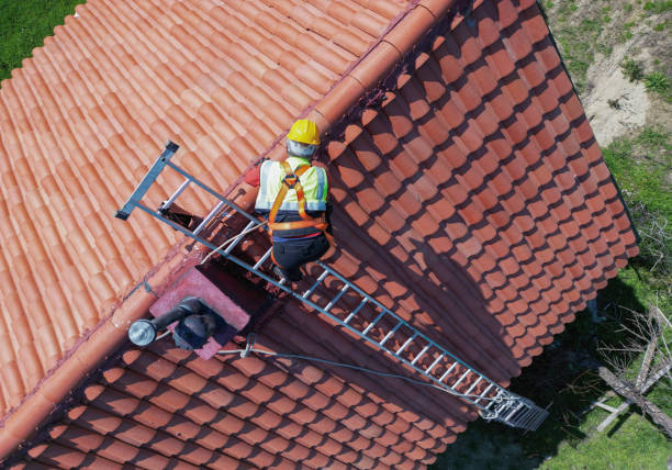  Lake Odessa, MI Roofing Service Pros
