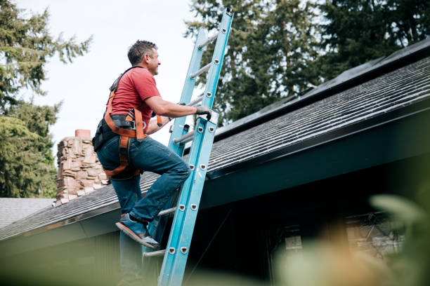 Best Roof Insulation Installation  in Lake Odessa, MI