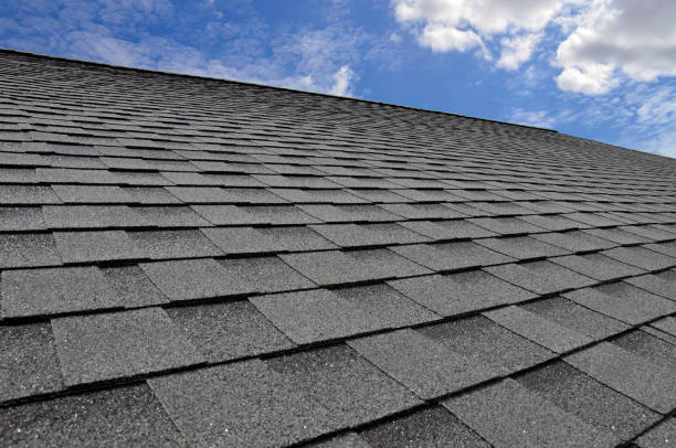 Best Solar Panel Roofing Installation  in Lake Odessa, MI
