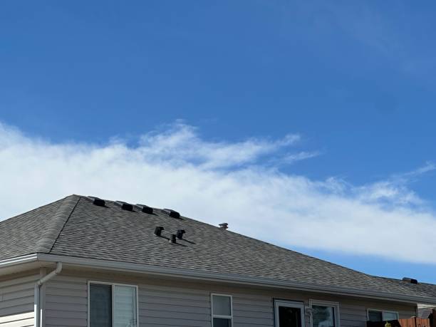 Best Cold Roofs  in Lake Odessa, MI