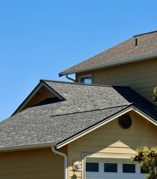 Best Roofing for New Construction  in Lake Odessa, MI