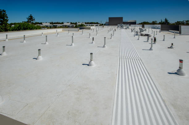 Best Emergency Roof Repair Services  in Lake Odessa, MI
